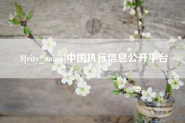 黄冈中国执行信息公开平台