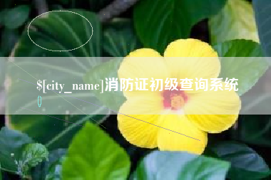 黄冈消防证初级查询系统