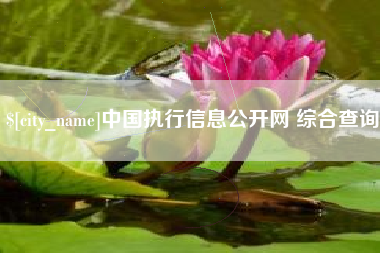 黄冈中国执行信息公开网 综合查询