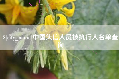 黄冈中国失信人员被执行人名单查询
