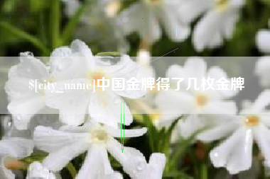 黄冈中国金牌得了几枚金牌