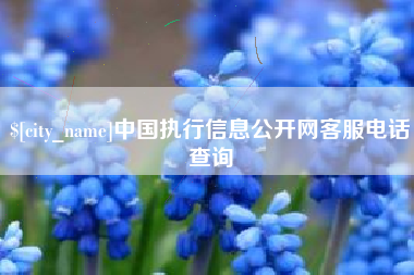 黄冈中国执行信息公开网客服电话查询