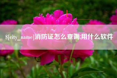 黄冈消防证怎么查询,用什么软件