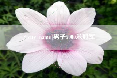 黄冈男子5000米冠军