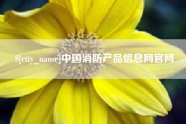 黄冈中国消防产品信息网官网