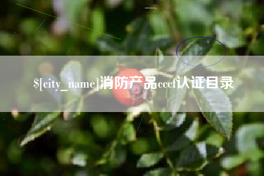 黄冈消防产品cccf认证目录