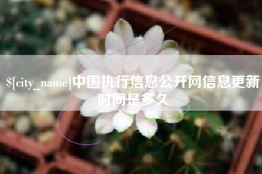 黄冈中国执行信息公开网信息更新时间是多久