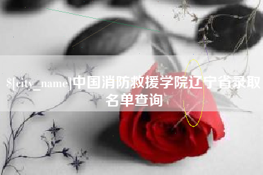 黄冈中国消防救援学院辽宁省录取名单查询