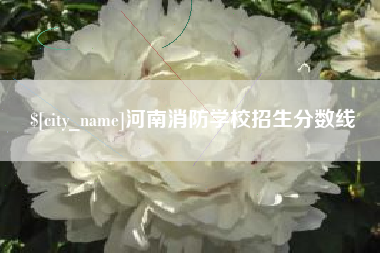 黄冈河南消防学校招生分数线