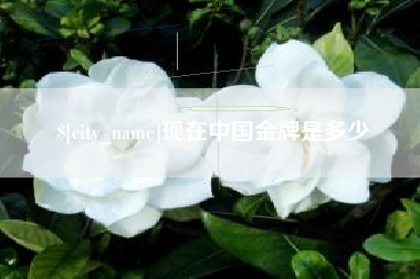 黄冈现在中国金牌是多少