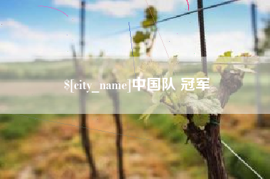 黄冈中国队 冠军