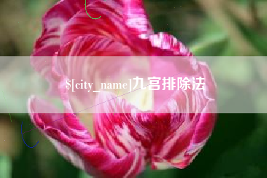 黄冈九宫排除法