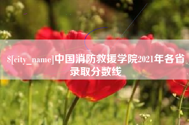黄冈中国消防救援学院2021年各省录取分数线