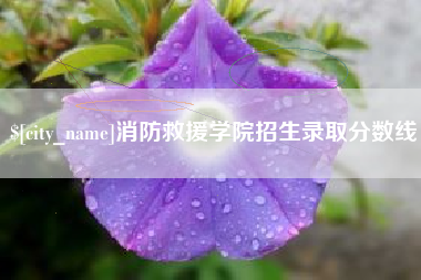 黄冈消防救援学院招生录取分数线