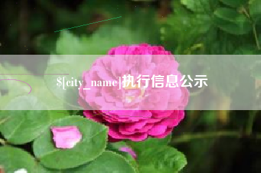 黄冈执行信息公示