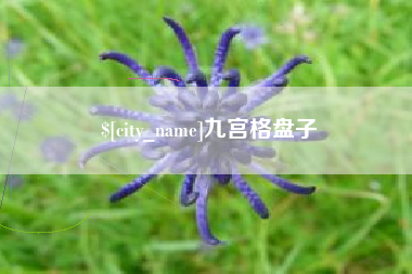 黄冈九宫格盘子