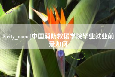 黄冈中国消防救援学院毕业就业前景如何