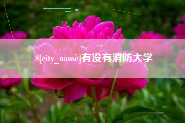 黄冈有没有消防大学