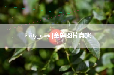 黄冈金牌图片真实