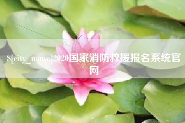 黄冈2020国家消防救援报名系统官网