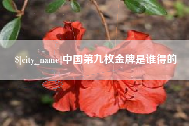 黄冈中国第九枚金牌是谁得的