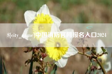 黄冈中国消防官网报名入口2024