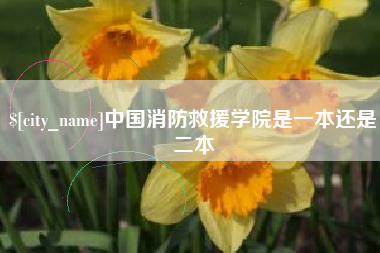 黄冈中国消防救援学院是一本还是二本