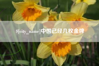 黄冈中国已经几枚金牌