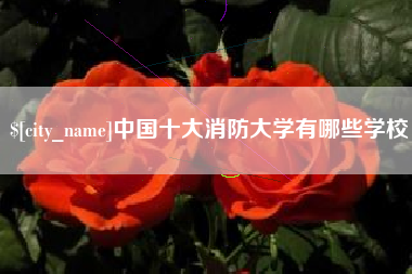 黄冈中国十大消防大学有哪些学校