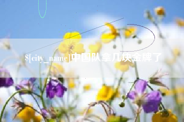 黄冈中国队拿几块金牌了