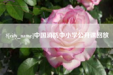 黄冈中国消防中小学公开课回放