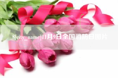 黄冈11月9日全国消防日图片