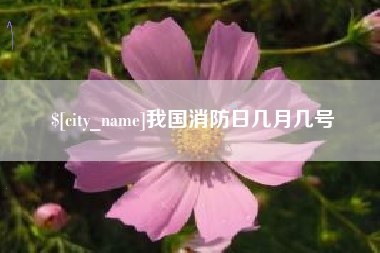 黄冈我国消防日几月几号