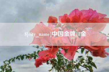 黄冈中国金牌18金
