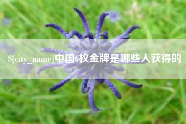 黄冈中国6枚金牌是哪些人获得的