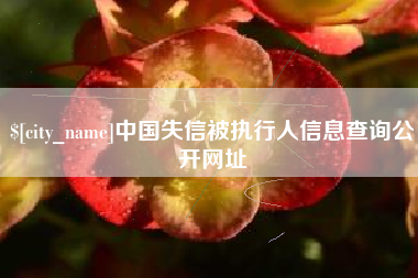 黄冈中国失信被执行人信息查询公开网址