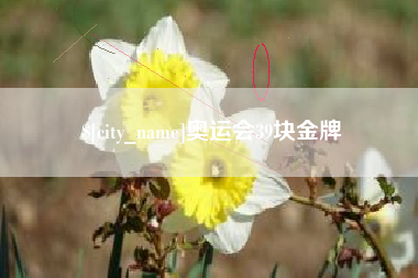 黄冈奥运会39块金牌