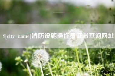 黄冈消防设施操作员证书查询网址