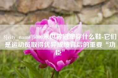 黄冈5000米世界冠军穿什么鞋-它们是运动员取得优异成绩背后的重要“功臣”
