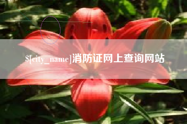 黄冈消防证网上查询网站