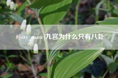 黄冈九宫为什么只有八卦
