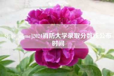 黄冈2024消防大学录取分数线公布时间