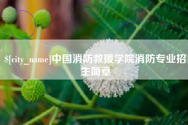 黄冈中国消防救援学院消防专业招生简章