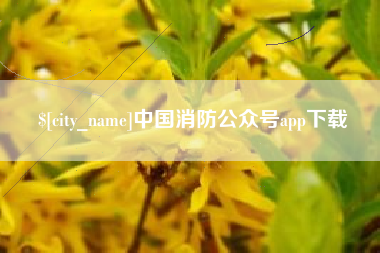 黄冈中国消防公众号app下载