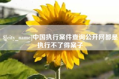 黄冈中国执行案件查询公开网都是执行不了得案子