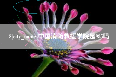 黄冈中国消防救援学院是985吗