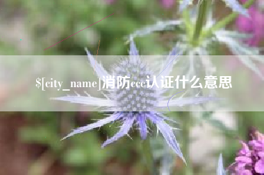 黄冈消防ccc认证什么意思