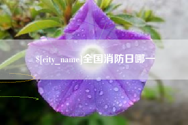 黄冈全国消防日哪一