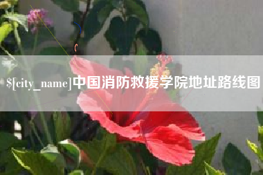 黄冈中国消防救援学院地址路线图