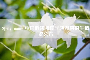 黄冈中国消防救援学院湖南招生情况公布
